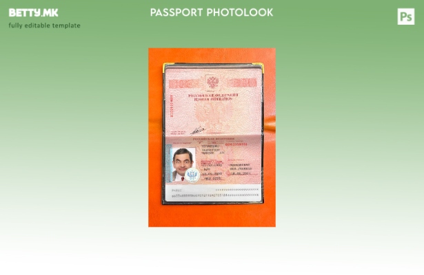 Модерен стил Руски пасош преснет шаблон фото изглед